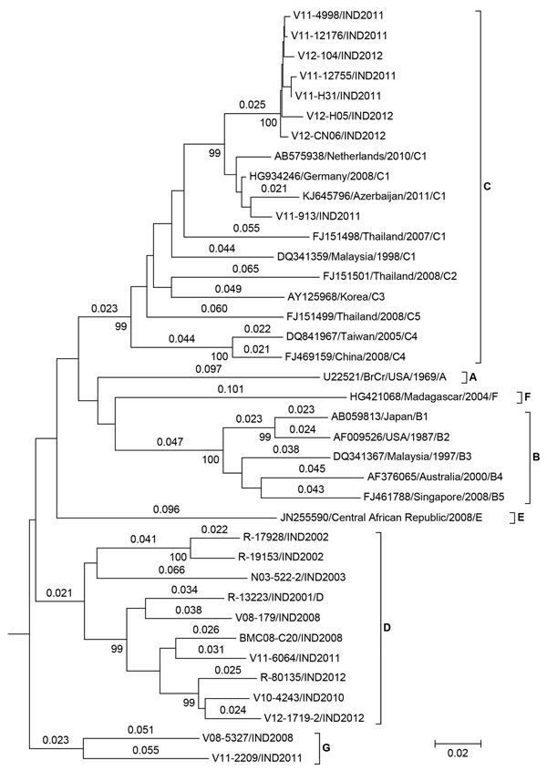 Neighbor-joining tree of enterovirus (EV) A71 using complete viral protein (VP) 1 sequences. Genetic distances calculated by Kimura 2-parameter method are shown above the branches, and bootstrap values (1,000 replicates) are shown below. VP1 sequence of CA16 was used as the outgroup (not shown). Isolates V08–5327 and V11–2209 represent a new genogroup: G. Scale bar indicates nucleotide substitutions per site.