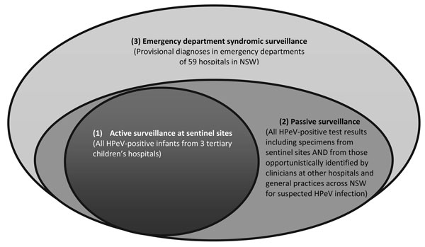 Venn diagram showing capture and overlaps in human parechovirus (HPeV) case identification/reporting resulting from the 3 surveillance mechanisms used during the HPeV outbreak in New South Wales (NSW), Australia, during October 2013–February 2014.