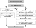 Thumbnail of Diagnostic algorithm for identification of an unknown risk for influenza by using nanomicroarray and next-generation sequencing (NGS) assays. To determine the virus type for a suspected influenza virus infection, viral RNA is extracted from a patient sample and initially analyzed in nanomicroarray assay for screening and determining the influenza A and B viruses (1). Once a novel, emerging, or co-infected influenza A and B virus is found, universal reverse transcription PCR (RT-PCR)