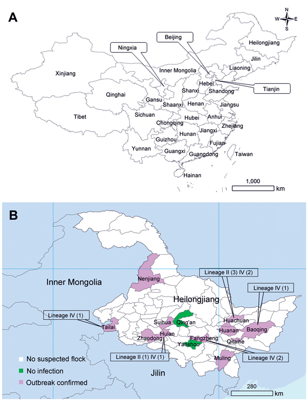 A) Provinces of China and B) distribution of confirmed outbreaks of peste des petits ruminants and peste des petits ruminants virus detected in Heilongjiang Province, March 25–May 5, 2014. Values in parentheses are number of virus isolates.