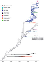 Thumbnail of Phylogenetic relationships between human and swine influenza H3 segments. Time-scaled Bayesian maximum clade credibility (MCC) tree inferred for the hemagglutinin (H3) sequences of 463 viruses, including 4 viruses sequenced for this study from swine in Brazil, A/swine/Brazil/365-11-7/2011(H3N2), A/swine/Brazil/231-11-1/2011(H3N2), A/swine/Brazil/355-11-6/2011(H3N2), and A/swine/Brazil/365-11-6/2011(H3N2); 251 human seasonal H3 viruses collected globally during 1968–2013; and 208 clo