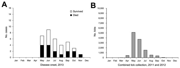 Comparison of epidemic curve for severe fever with thrombocytopenia syndrome cases identified during 2013 and the number of Haemaphysalis longicornis ticks collected per month during 2011 and 2012, South Korea. A) Number of cases of severe fever with thrombocytopenia syndrome, by month of onset. B) Combined number of H. longicornis ticks collected, by month (6).