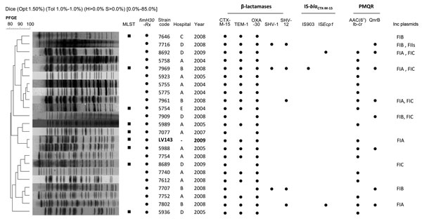 Dendogram of pulsed-field gel electrophoresis (PFGE) profiles showing the relationship between a clonal strain of Escherichia coli of animal origin (LV143, in boldface), and 22 E. coli isolates from humans. We used the unweighted pair group method and the Dice coefficient with 1.8% optimization (opt) and band position tolerance (tol) of 1%. Isolates with a Dice band–based similarity coefficient of &gt;80% were considered to belong to the same cluster. Black squares under multilocus sequence typi