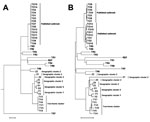 Thumbnail of Genetic relatedness of isolates from a cross-institutional Streptococcus pyogenes outbreak in Oxfordshire, United Kingdom (indicated by TV plus isolate number); an outbreak described by Turner et al. (20) (indicated by TR and TO plus isolate number for reference and outbreak isolates, respectively); and 3 geographic outbreak clusters in the United Kingdom around the time of the TV outbreak (indicated by X, Y, or Z plus isolate number). Dendrograms are based on a single-nucleotide po