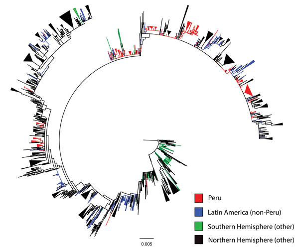 Maximum-likelihood phylogeny of hemagglutinin sequences of influenza A(H3N2) viruses from Peru and other global locations, rooted with the oldest available sequence (A/Hong Kong/CUHK52390/2004). Scale bar indicates number of nucleotide substitutions per site.