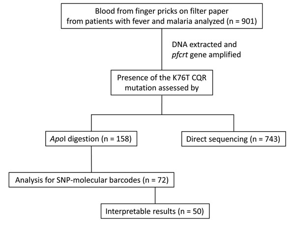 Flowchart of blood specimen processing and analysis for study of presence of Plasmodium falciparum K76T pfcrt gene mutations, Haiti. Each sample was analyzed for the presence of pfcrt mutations associated with chloroquine drug resistance by only one method (restriction digest or sequencing) with the exception of 2 samples. pfcrt, P. falciparum chloroquine resistance transporter; CQR, chloroquine-resistant; SNP, single-nucleotide polymorphism. 