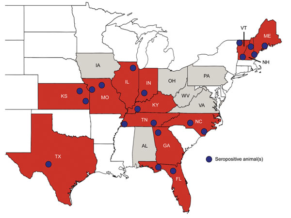 Geographic groupings of confirmed seropositive animals for Heartland virus neutralizing antibodies, central and eastern United States, 2009–2014. Twenty groups were identified in 13 states. The geographic locations of the groups were subjectively approximated by the counties where seropositive animals were collected (blue circles). Red indicates states with seropositive animals; gray indicates states in which no seropositive animals were detected. Because of the sampling design, the data are qua