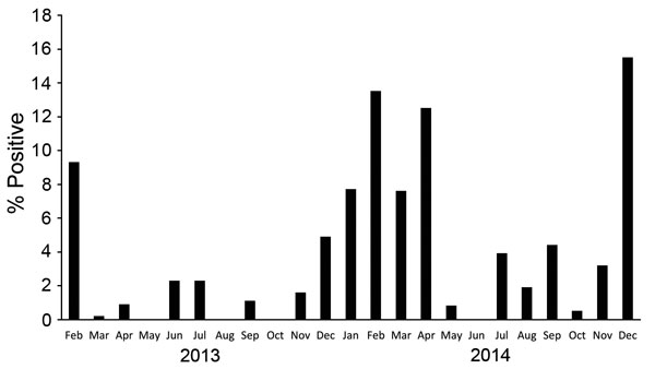 Monthly positivity rate of infection with avian influenza viruses (all types), Egypt, February 2013–December 2014. As in Figure 1, a seasonal pattern is shown by sharp increases in rates during colder months (November–March).