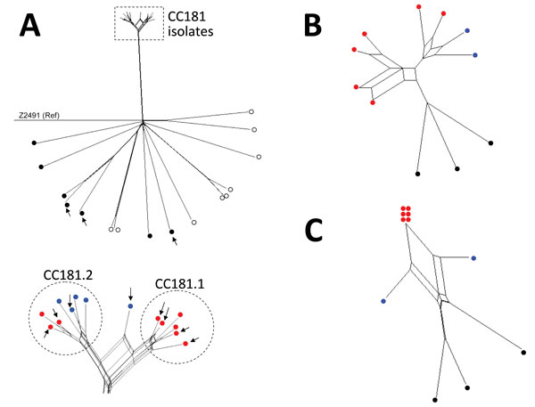 Neighbor-Net SplitsTree graphs generated using SplitsTree4 version 4.13.1 (http://www.splitstree.org) to visualize trees of Neisseria meningitidis serogroup X isolates. A) All 30 Neisseria meningitidis serogroup X isolates available on BIGSdb (11) were analyzed, including the 11 isolates from this study (8 from sub-Saharan Africa and 3 from France), 9 carriage isolates, 3 invasive isolates from Europe, 1 isolate from the United States, and 6 isolates from sub-Saharan African countries. Open (whi