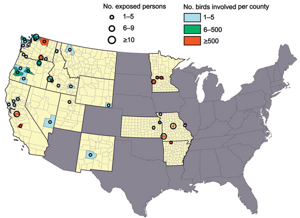 Number of highly pathogenic avian influenza A H5 virus–infected birds and minimum number of exposed persons by state and county, United States, December 15, 2014–March 31, 2015. Yellow indicates states in which outbreaks occurred.