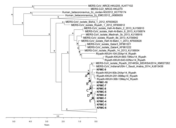 Time-resolved phylogenetic tree of Middle East respiratory syndrome coronavirus (MERS-CoV) genomes, Saudi Arabia, 2014, constructed by using BEAST version 1.8 (http://beast.bio.ed.ac.uk/). Upper scale bar indicates nucleotide substitutions per site. Lower scale bar indicates years in reference to sample KFMC-6 (collected May 18, 2014). Genomes sequenced in this study are indicated in bold. *Indicates major nodes with posterior probabilities &gt;0.95. Estimated median dates for nodes A, B, C, D, 
