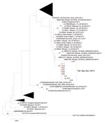 Thumbnail of Midpoint-rooted phylogenetic tree inferred from multiple-sequence alignment of 10 new cases of Middle East respiratory syndrome coronavirus (MERS-CoV) spike open reading frame sequences (4,062 nt) from Taif, Saudi Arabia (brackets). Colored circles identify healthcare facilities; numbers indicate individual patients. Taif sequences are shown in context with the closest related sequences that comprise the Hafr-Al-Batin_1 clade, as originally defined by Cotton et al. (17), and with se