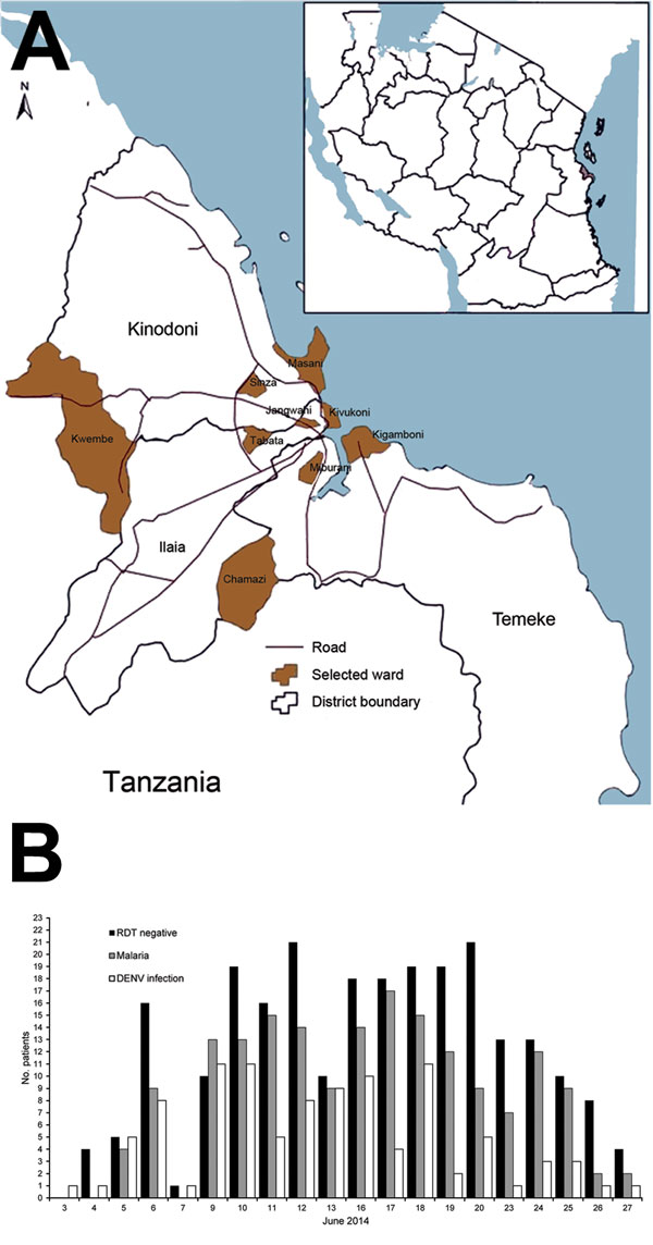 Geographic and clinical details of dengue outbreak, Dar es Salaam, Tanzania, 2014. A) Location of 3 districts investigated. *Districts with no health facility available during the study. Outpatient departments were not open on weekends. Inset indicates location of Dar el Salaam in Tanzania (black). B) No. cases of dengue virus (DENV) infection and malaria and rapid diagnostic test (RDT) results during the outbreak.