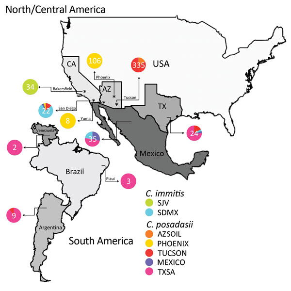 Coccidioides subspecies distribution for North, Central, and South America. The frequency of assignment for each Coccidioides population was plotted in a pie chart for each location, and numbers of isolates from each location are displayed. For example, patients from Mexico were infected with isolates from Texas, San Diego, and Mexico populations, as determined by analysis with STRUCTURE. Because each of the patients’ location is the hospital, no fine-scale population is assessed. 