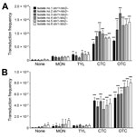 Thumbnail of Emergence of Shiga toxin (Stx)–2–positive strains of Escherichia coli from cattle (isolates 1–6) by subtherapeutic bovine antibiotic growth promoters (bAGPs) at 0.1 µg/mL (A) and 0.01 µg/mL (B). Frequency of transfer of Stx phages to bovine E. coli isolates originated from a detoxified derivative of E. coli O157:H7 EDL933, where stx2 was replaced with a kanamycin resistance cassette. The donor and recipient E. coli strains were co-cultured with or without monensin (MON), tylosin (TY