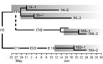 Thumbnail of Transmission tree timeline for 8 Middle East respiratory syndrome coronavirus strains isolated during an outbreak in South Korea, 2015. Numbers without parentheses indicate patients in this study; numbers inside parentheses indicate patients not included in this study. The index case-patient is represented by (1). Numbers 1 and 2 following patient identification numbers indicate separate samples that were sequenced. The left edge of each shaded box indicates date of symptom onset fo