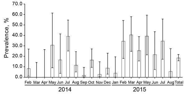 Monthly prevalence of African swine fever in dead (including road accident deaths) wild boar, Poland, February 2014–August 2015. Error bars indicate 95% CIs.