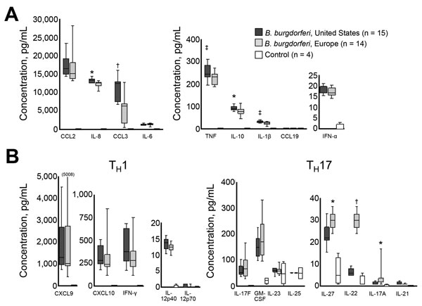 Inflammatory potential of Borrelia burgdorferi sensu stricto from Europe and the United States. Levels of 22 cytokines and chemokines associated with innate (A) or adaptive (B) immune responses. Innate responses: tumor necrosis factor (TNF), interleukin-1β (IL-1β), IL-6, IL-10, granulocyte–macrophage colony-stimulating factor (GM-CSF), IL-8, chemokine ligand 2 (CCL2), CCL3, and CCL19. Adaptive immune responses: Th1: interferon-γ (IFN-γ), IFN-α, IL-12p40, IL-12p70, cysteine-X-cysteine motif chemo