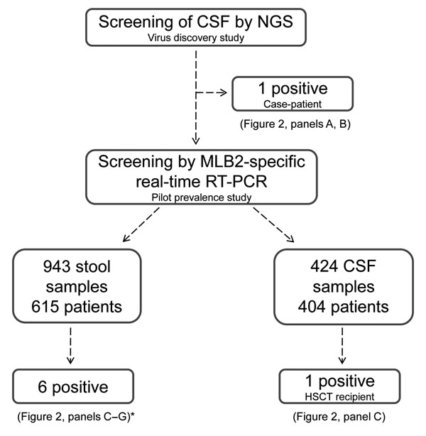 Flowchart of study using NGS to determine potential viral etiologic agents of meningoencephalitic and respiratory syndromes, Geneva, Switzerland, 2014. *The diarrheic immunocompetent infant is not represented in Figure 2. CSF, cerebrospinal fluid; NGS, next-generation sequencing; RT-PCR, reverse transcription PCR.