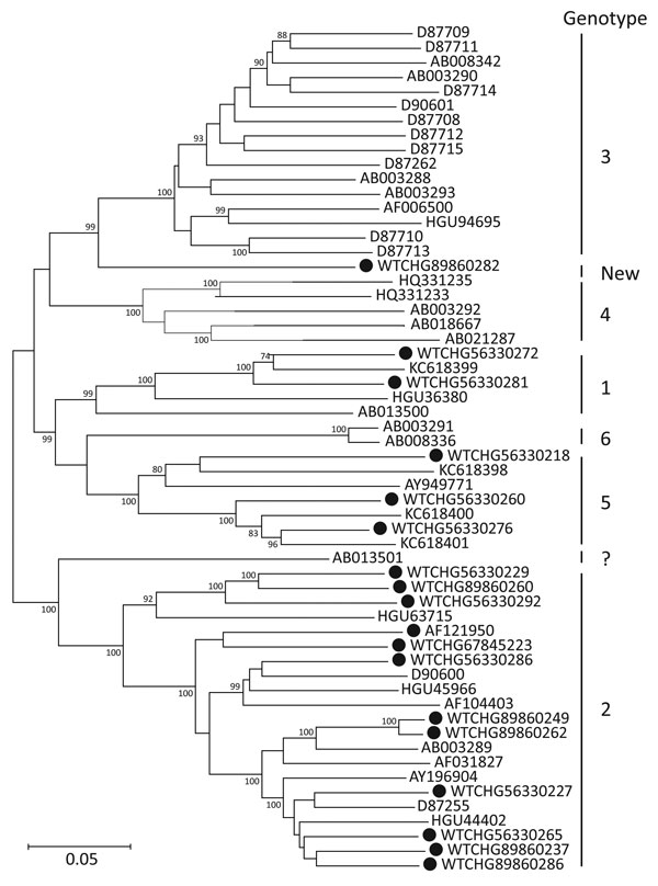 Maximum-likelihood phylogenetic analysis of complete genome sequences of human pegivirus assembled in this study (black circles) compared with available human hepegivirus (HPgV) sequences of genotypes 1–6 published in GenBank (accession numbers shown). The tree was constructed by using the maximum-likelihood algorithm implemented in the MEGA6 software package (16). For this dataset, the optimum maximum model was general time reversible model (18) with a gamma distribution (5 rates) and invariant