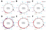 Thumbnail of Extent of recombination among 8 non–serotype V sequence type (ST) 1 group B Streptococcus isolates collected by the Toronto Invasive Bacterial Diseases Network, Ontario, Canada, 2009–2015. A) Serotype Ib strain NGBS217. B) Serotype II strains NGBS748 and NGBS814. C) Serotype IV strain NGBS1098. D) Serotype VI strains NGBS209 and NGBS537. E) Serotype VII strain NGBS015. F) Serotype VIII strain NGBS621. Polymorphisms identified in non–serotype V ST1 strains (illustrated in different c