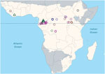 Thumbnail of Locations of known Ebola virus spillover events, Africa, 1960–2010. Brown region indicates the focal region in Africa of annual rainfall &gt;500 mm. Open circles indicate human spillovers, open triangles infection/mortality in nonhuman primates or in other mammals. Yellow, blue, green, magenta, and black indicate the 5 respective decades during 1960–2010. Solid horizontal line marks the equator. No known Ebola spillovers occurred in the 1980s.