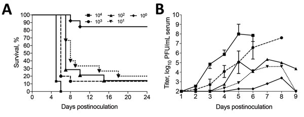 Dose response of Heartland virus (HRTV)–infected interferon α/β/γ receptor–deficient (Ag129) mice. Mice of either sex were inoculated with 104–10° PFU of HRTV/0.1 mL of inoculum. Mice were observed daily for death through day postinoculation 24. A) Percentage survival. B) Dose-associated HRTV viremias determined by plaque assays on Vero E6 cells. Different groups of 5 mice inoculated with the same dose of HRTV were bled every third day. Thus, a decrease in viremia was observed for the 102 PFU do