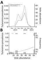 Thumbnail of Vole abundance and tularemia prevalence, northwestern Spain. A) Temporal variations in vole abundance (no. captures/100 traps/24 h) and tularemia prevalence. Spain. Four voles were tested in March 2013, 15 in July 2013, 32 in November 2013, 63 in March 2014, 102 in July 2014, 19 in November 2014, and 8 in March 2015. B) Relationship between tularemia prevalence and vole abundance. Histograms show number of positive (top) or negative (bottom) voles sampled at each level of vole densi