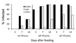 Thumbnail of Infection, dissemination, and transmission of the Zika virus strain FSS 13025 by Aedes aegypti mosquitoes from Salvador, Brazil, after blood meals from infected A129 mice with viremic titers of 4 log10, 6 log10, or 7 log10 focus-forming units/mL.