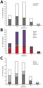 Thumbnail of Distribution of infectious agents among persons who acquired enteric infections during their travel for Hajj, 2011–2013, by age group. A) Identified versus unidentified samples; B) type of pathogen; C) bacterial agent. Bacterial agents were the most predominant pathogen detected among all age groups. NI, age not identified.