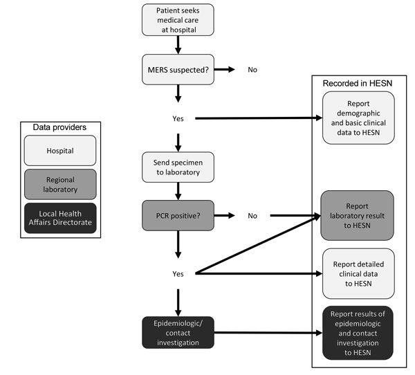 Reporting pathway for data regarding persons tested for Middle East respiratory syndrome coronavirus infection to the Health Electronic Surveillance Network (HESN), Saudi Arabia, 2014–2016.