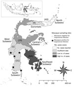 Thumbnail of Individual sampling sites where macaques were tested for infection with Treponema spp. during 1999–2012 and the number of human yaws cases during 2001–2011, Sulawesi, Indonesia. Numbers in parentheses indicate number nonhuman primates sampled in each of the 6 provinces. ESPLINE TP (Fujirebio Inc., Tokyo, Japan) reagent for the detection of T. pallidum antibodies was used to determine whether macaque samples were positive for treponemal infection. The number of human yaws cases was d