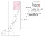 Thumbnail of Molecular clock phylogeny of norovirus strain GII.2 VP1 gene sequences. The tree is a maximum clade credibility phylogeny with the GII.2 VP1 sequences, including the Guangdong, China, outbreak strains (red box, enlarged at right). Red dots indicate GII.2/Guangdong/2016 strains; black dots indicate outbreak strains from Germany, 2016; black squares indicate closely related GII.2 strains reported in previous years.