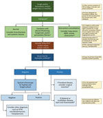 Thumbnail of Diagnostic algorithm incorporating the chest radiographic appearance and results of rapid TB investigations with the case definition of CPA. ABPA, allergic bronchopulmonary aspergillosis; CPA, chronic pulmonary aspergillosis; CT, computed tomography; NTM, nontuberculous mycobacteria; TB, tuberculosis. GeneXpert, http://www.cepheid.com/us/cepheid-solutions/systems/genexpert-systems/genexpert-iv