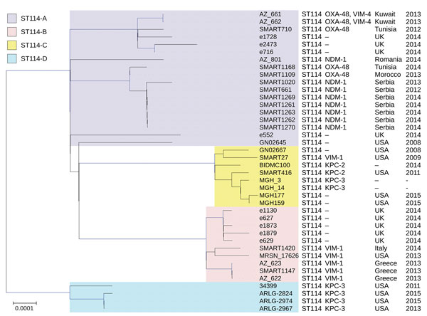 Phylogenetic tree of the different clades among 40 Enterobacter xiangfangensis ST14 isolates identified from Enterobacter spp. isolates collected in the Merck Study for Monitoring Antimicrobial Resistance Trends, 2008–2014, and the AstraZeneca global surveillance program, 2012–2014. The treet is rooted with E. hormaechei subsp. hormaechei isolate ATCC49162. A total of 317,867 core single-nucleotide polymorphisms were found; 27,705 were used to draw the tree (after phages and recombination sites 