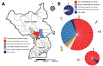 Thumbnail of Locations and molecular analysis of 2014 epidemic in Uganda and South Sudan. A) Affected areas in both countries. Light brown indicates districts where we did not obtain any isolate for molecular analysis; red, orange, and blue areas represent affected districts with cholera isolates included in the analysis. B) Multilocus variable-number tandem-repeat (MLVA) analysis. Minimum spanning tree using pairwise difference was generated using Bionumerics version 6.6 (Applied Maths, Inc., A