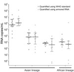 Thumbnail of Quantification of Zika virus–positive samples using WHO Zika virus and armored RNA testing standards, Brazil. Zika virus–positive samples contained either inactivated strain MRS_OPY_Martinique_PaRi 2015 (Asian lineage) or strain MR766 (African lineage). Horizontal lines indicate median of the calculated Zika virus; whiskers indicate interquartile ranges. Statistical analysis was performed using GraphPad Prism 5.03 (GraphPad Software, Inc., La Jolla, USA). WHO, World Health Organizat