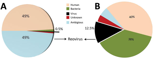 Sample identification by use of next-generation sequencing. RNA reads from blood (A) and lung (B) samples from horse that died of equine encephalosis in India, 2008. Samples were categorized by using Taxonomer software (11); 0.5% of the reads from blood samples (total reads 2,610,292, average length 137 bp) and 12.5% of the reads from lung samples (total reads 2,125,678, average length 135 bp) were matched to those of reoviruses.