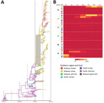 Thumbnail of Phylogeographic reconstruction of source–sink dynamics of highly pathogenic avian influenza virus A(H5N2) outbreak, United States, 2014–2015. A) Phylogenetic tree of hemagglutinin gene of H5N2 isolates. The geographic region and host type were defined in the model as discrete nominal character states, and the number of state transitions at tree nodes was counted. The character states included in the phylogenetic model (Midwest chicken, Midwest turkey, Midwest wild bird, Pacific chic