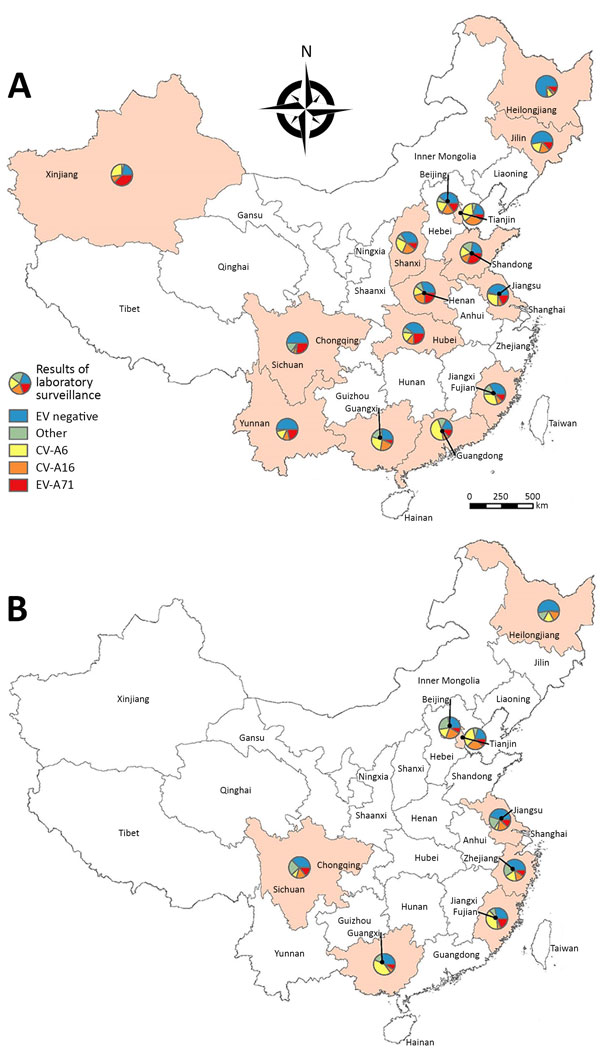 Estimated yearly detection proportions of CV-A6, EV-A71, CV-A16, and other enteroviruses among mild hand, foot and mouth disease cases by province in China: A) 2013; B) 2015. CV, coxsackievirus; EV, enterovirus.