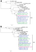Thumbnail of Maximum-likelihood phylogenetic trees of partial RNA segments of orthohantaviruses. A) Large RNA segments based on a 347-nt alignment and the general time reversible plus gamma distribution model of nucleotide substitution. B) Small RNA segments based on a 318-nt alignment and the Hasegawa–Kishino–Yano 85 plus gamma distribution model. Trees were constructed by using PhyML3.0 (8) and the best-fitting model according to smart model selection in this software and 1,000 bootstrap repli