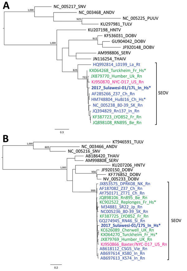 Maximum-likelihood phylogenetic trees of partial RNA segments of orthohantaviruses. A) Large RNA segments based on a 347-nt alignment and the general time reversible plus gamma distribution model of nucleotide substitution. B) Small RNA segments based on a 318-nt alignment and the Hasegawa–Kishino–Yano 85 plus gamma distribution model. Trees were constructed by using PhyML3.0 (8) and the best-fitting model according to smart model selection in this software and 1,000 bootstrap replicates. Values