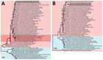 Thumbnail of Phylogenetic analysis of the H7 hemagglutinin (HA) gene (A) and N3 neuraminidase (NA) gene (B) of influenza viruses isolated from ducks in Kampong Thom Province, Cambodia (boldface), and reference isolates. Trees were generated using the maximum-likelihood method based on the general time-reversible model. Bootstrap values (n = 500) &gt;70 are indicated. Light pink shading indicates strains from Eurasia, blue shading indicates strains from North and South America, and dark pink shad