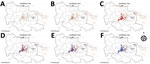 Thumbnail of Spatial and temporal spread of chikungunya epidemic, Carabobo state, Venezuela, June–December 2014. Time is presented at epidemiologic week intervals as follows: A) weeks 22–27; B) weeks 28–31; C) weeks 32–35; D) weeks 36–39; E) weeks 40–45; F) weeks 46–49. Red circles indicate the appearance of new cases for the given interval; blue indicates the cumulative cases in prior intervals. Light yellow lines depict the road system of the area of study; light gray areas represent the popul