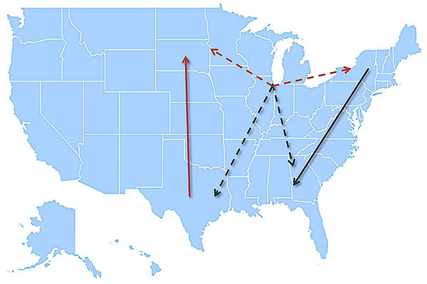 Model summarizing the general patterns of West Nile virus movement in the United States. Red, northward movement; teal, southward movement; dotted arrows, relationships that could not be confirmed in incident-controlled datasets because of an insufficient number of sequences.