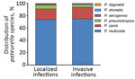 Thumbnail of Distribution of various Pasteurella spp. in localized and invasive infections, Szeged, Hungary, 2002–2015. 