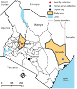 Thumbnail of Geographic location of sand fly collection site (Ntepes) and district hospitals of Marigat and Sangailu, where human serum samples were collected, Kenya.