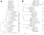 Thumbnail of Phylogenetic analysis of a causative virus strain (China 2018/1) of an African swine fever outbreak, China, 2018. A) p72 genotype; B) CD2v serogroup. The neighbor-joining method and Kimura 2-parameter model were used for construction of phylogenetic trees in MEGA 5.0 software (https://www.megasoftware.net/). Numbers along branches indicate bootstrap values &gt;70% (1,000 replicates). Black circles indicate causative virus from this study. Roman numerals to the right in panel A indic