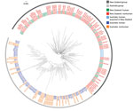 Thumbnail of Maximum-likelihood phylogeny of 198 sequenced Salmonella enterica serovar Typhimurium definitive type 160 isolates from Australia and New Zealand and reference isolates, inferred from 2,203 core single-nucleotide polymorphisms, Australia and New Zealand. Nodes are labeled with isolate type and isolation year. All Australian isolates are from Tasmania unless specified otherwise. Figure created with iTOL (https://itol.embl.de). Scale bar indicates nucleotide substitutions per site. *S