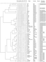 Thumbnail of Genetic relatedness among Aspergillus fumigatus isolates based on microsatellite genotyping, Taiwan. Scale bar indicate percentage relatedness. AF, A. fumigatus; C, clinical; E, environmental; R, azole-resistant; S, azole-susceptible; STR, short tandem repeat; TW, Taiwan.